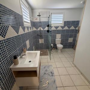 a bathroom with a sink and a toilet at Villa Floru in Le Carbet +13 photos