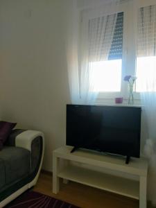 sala de estar con TV de pantalla plana y sofá en Apartman Lana, en Klimno