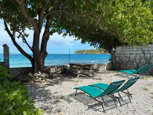 two chairs and a picnic table under a tree on the beach at Faré Pépénai in Avatoru