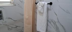 a bathroom with a white towel hanging on a shower curtain at Villa Vista in Steer Town +14 photos