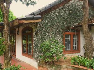 a house with ivy growing on the side of it at căn 3 ngủ in Ấp Tân Long