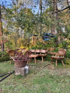 a group of park benches and a pot of flowers at En medio de la nada in Mazamitla