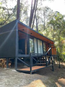 a cabin in the woods with a large window at Disfruta del Bosque in Mazamitla