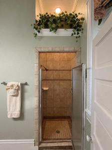 a shower stall in a bathroom with at Sandstone Street Bed and Breakfast in Llano +21 photos