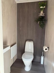 a bathroom with a toilet with a plant on the wall at Hytter Brokefjell in Kviteseid +10 photos