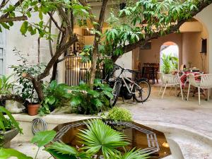 a garden with a bike parked in a courtyard at Brother House in Nha Trang