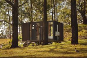a tiny house in the woods with a tree at One Gaea by Tiny Away in Rainbow Flat +16 photos