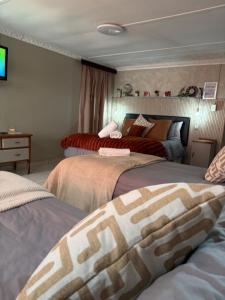 a bedroom with two beds and a tv in it at Evening Star Guest Units in Fichardtpark