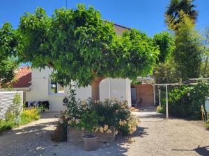 a large tree in front of a house at Maison venitia t2 in Aussonne