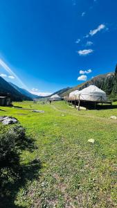a field with tents in the middle of a field at OrdoLife in Mineralʼnyy Istochnik Altyn-Arasan