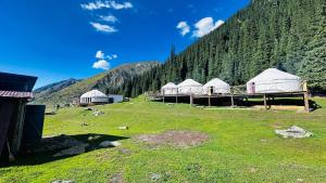 a group of tents in a field with a mountain at OrdoLife in Mineralʼnyy Istochnik Altyn-Arasan