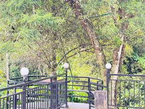 a black iron gate with trees in the background at Happy Days by 3R Munnar in Munnar