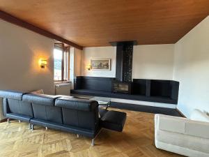 a living room with a couch and a fireplace at La belle Époque in Tramelan