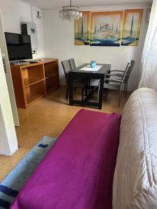 a living room with a table and a purple rug at Souterrain Zimmer mit Sauna in Klosterlechfeld