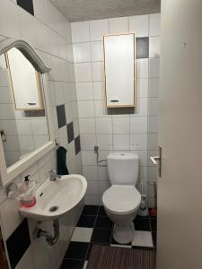a bathroom with a toilet and a sink at Souterrain Zimmer mit Sauna in Klosterlechfeld