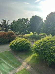 a view of a park with trees and grass at Sri Residence in Kamburugamuwa
