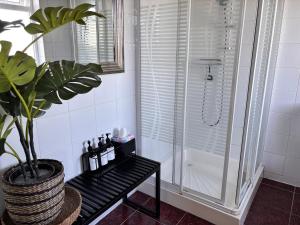 a bathroom with a shower and a bench with a plant at Follies Suites Ballyvoile in Dungarvan