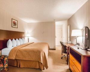 a hotel room with a bed and a desk at Quality Inn & Conference Centre Red Deer - 50th Avenue in Red Deer +28 photos
