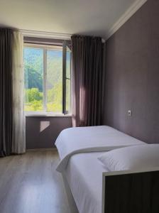 a bedroom with two beds and a large window at Guesthouse Riverside Bagiana in Roshka