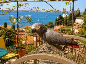 a bird sitting on top of a table at Apartment Gaia with private parking in Portorož