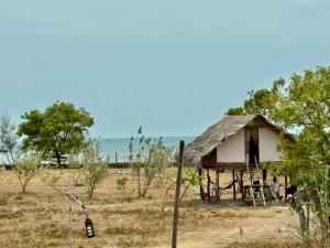 a small house with a thatched roof in a field at Delft Jungle Beachfront Villa in Delft East +70 photos