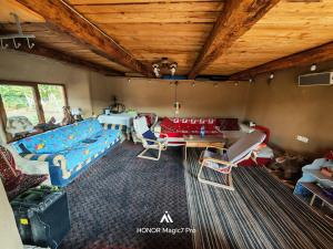 a living room with a couch and a table at Pensiunea Solo in Dretea