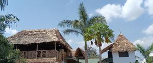 a house with a thatched roof and two palm trees at Kilimanjaro Simba Lodge in Moshi