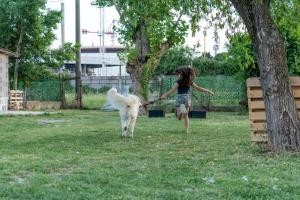 a girl walking a white dog on a leash at B&B Aut in Fiore in Ravenna +4 photos