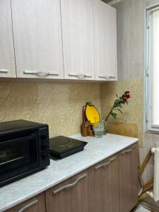 a kitchen with a counter top with a microwave at Camp&CO in Naryn +1 photo