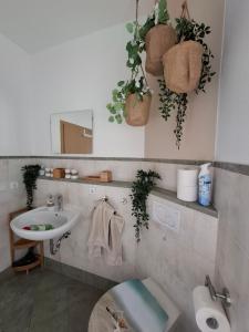 a bathroom with a sink and a toilet and plants at Ferienwohnung Am Bürgerteich in Bischofswerda +55 photos