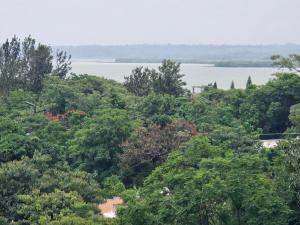 a view of the water through the trees at Yiganda Hotel, Ethiopia in Bahir Dar