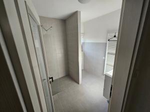 a bathroom with a walk in shower next to a walk in shower at Apartment Nová Ves 26 in Olešník +23 photos