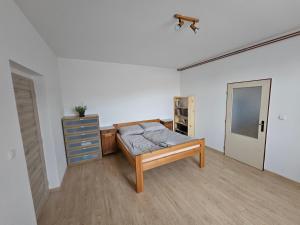 a bedroom with a bed and a dresser in it at Apartment Nová Ves 26 in Olešník