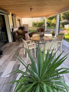 a patio with a table and chairs and a plant at Le volcan in Rochefort