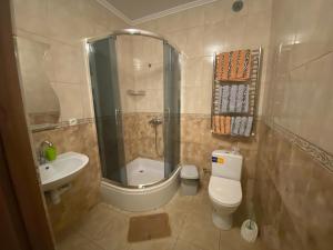 a bathroom with a shower and a toilet and a sink at Rika House in Sinyak +9 photos