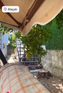 a table under an umbrella in a yard at Alaçatı evi in Alaçatı