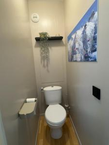 a bathroom with a toilet with a picture on the wall at Les balcons de Valmi vue montagne Piscine in Valmeinier +4 photos