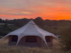 a white tent in a field at sunset at Sunset and Swallows in Eaton Bishop