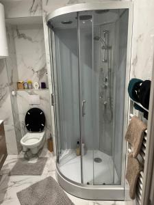 a bathroom with a shower and a toilet at Souad in Saint-Vallier