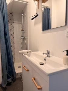 a bathroom with a sink and a shower at Petite maison dans le beaujolais in Les Olmes