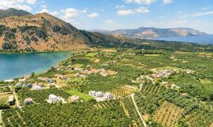 an aerial view of a vineyard next to a lake at Cretan Breeze Villa Heated Pool in Dhrámia