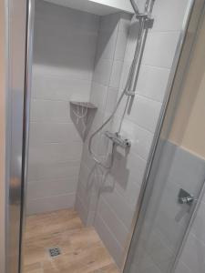 a shower with a glass door in a bathroom at Domaine Cosme in Le Noyer-en-Ouche +6 photos