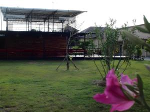 a pink flower in a yard with a building at Surintara Resort in Surin +34 photos