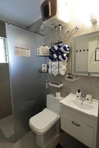 a bathroom with a toilet and a sink at Shalom in Colva