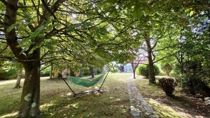 a hammock in the middle of a park with trees at Hotel Jardín de Aura in Muros de Nalón