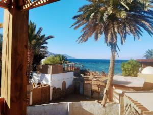 a view of the beach from a house with a palm tree at Quiet place in Dahab