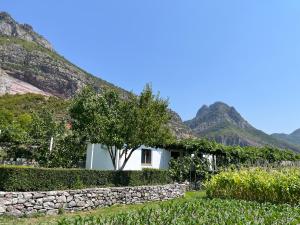 a house with a stone wall and mountains in the background at Guesthouse Camping the peaceful of Koman in Gushtë