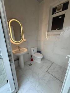 a bathroom with a sink and a toilet and a mirror at Lightmoon studio Jimi in Al Ain