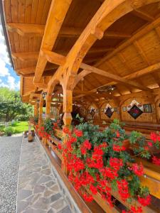 a display of red flowers in a wooden building at Pensiunea CARMEN Borșa in Borşa