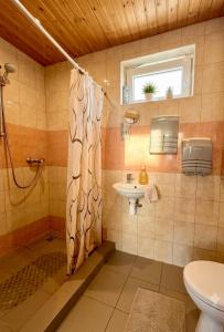 a bathroom with a shower and a sink at Holiday Homes Eliza in Druskininkai